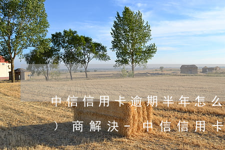 中信信用卡逾期半年怎么跟銀行協(xié)商解決-中信信用卡逾期半年怎么跟銀行協(xié)商解決呢