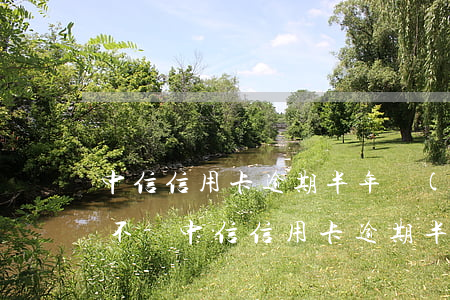 中信信用卡逾期半年結(jié)清還能用不-中信信用卡逾期半年結(jié)清還能用不