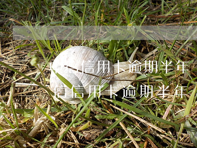 中信信用卡逾期半年還完了還可以用嗎??-中信信用卡逾期半年還完了還可以用嗎