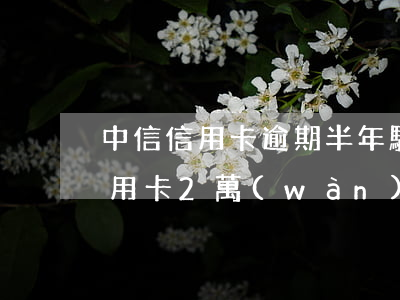 中信信用卡逾期半年騷擾家人 欠中信銀行信用卡2萬(wàn)多逾期三個(gè)月了怎么辦