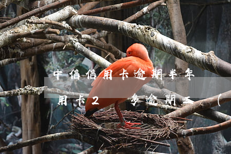 中信信用卡逾期半年騷擾家人 欠中信銀行信用卡2萬多逾期三個(gè)月了怎么辦