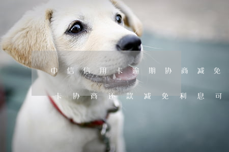 中信信用卡逾期协商减免利息吗(和银行信用卡协商还款减免利息可信吗)
