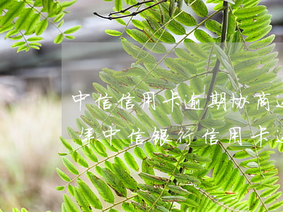 中信信用卡逾期协商还款最长几年(2021年中信银行信用卡还款宽限期几天)