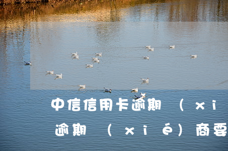 中信信用卡逾期協(xié)商(中信信用卡逾期協(xié)商要交首付)