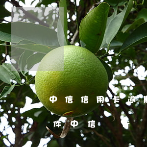 中信信用卡逾期協(xié)商分期5年條件(中信銀行貸款逾期可以協(xié)商分期付款)