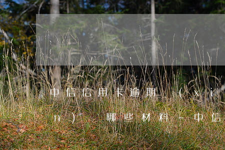 中信信用卡逾期協(xié)商準(zhǔn)備哪些材料-中信信用卡逾期協(xié)商準(zhǔn)備哪些材料呢