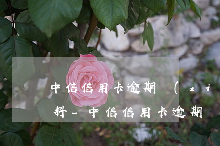 中信信用卡逾期協(xié)商準備哪些材料-中信信用卡逾期協(xié)商準備哪些材料呢