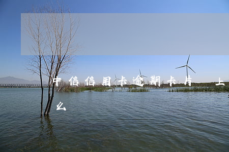 中信信用卡逾期卡片鎖上(信用卡逾期被鎖怎么辦)