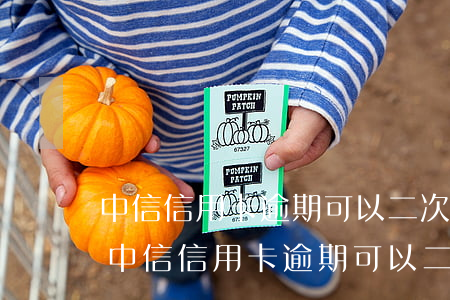 中信信用卡逾期可以二次協(xié)商嗎(中信信用卡逾期可以二次協(xié)商嗎)