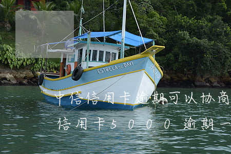 中信信用卡逾期可以协商60期吗(中信银行信用卡5000逾期一年起诉)
