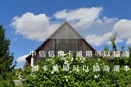 中信信用卡逾期可以協商還本金嘛-中信信用卡逾期可以協商還本金嘛