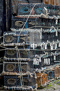 中信信用卡逾期可以叫停嗎(中信信用卡2萬逾期一年說要起訴)