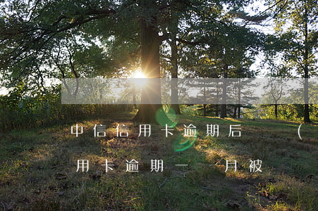 中信信用卡逾期后凍結(jié)卡(中信信用卡逾期一個月被凍結(jié)能恢復(fù)嗎)