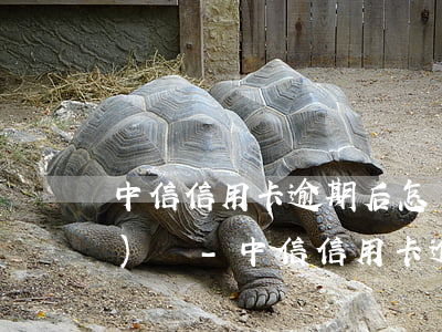 中信信用卡逾期后怎樣投訴銀監(jiān)會-中信信用卡逾期后怎樣投訴銀監(jiān)會電話