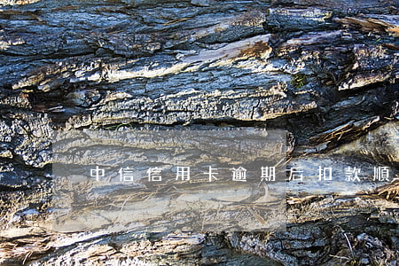 中信信用卡逾期后扣款順序(信用卡逾期還款)