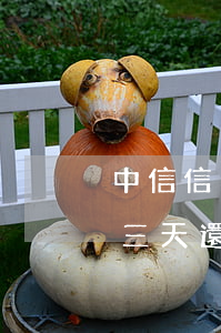 中信信用卡逾期后按要求還款(中信銀行逾期三天還款對信用有影響嗎)