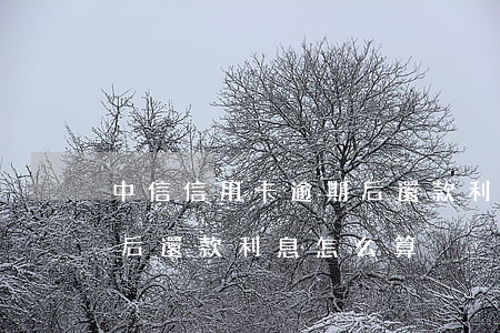 中信信用卡逾期后還款利息 中信信用卡逾期后還款利息怎么算