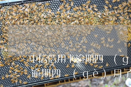 中信信用卡逾期四個(gè)月(中信信用卡逾期四個(gè)月了銀行說(shuō)要起訴)