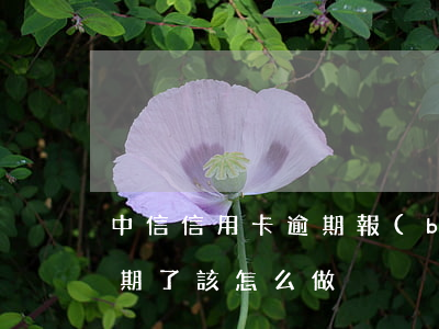 中信信用卡逾期報(bào)案了(信用卡逾期了該怎么做)