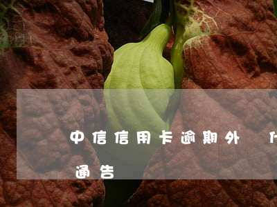 中信信用卡逾期外訪什么意思(中信銀行外訪通告)