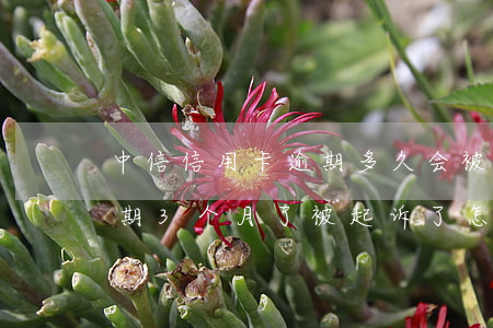 中信信用卡逾期多久会被起诉(中信信用卡逾期3个月了,被起诉了,怎么办?)