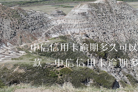 中信信用卡逾期多久可以協(xié)商還款-中信信用卡逾期多久可以協(xié)商還款啊