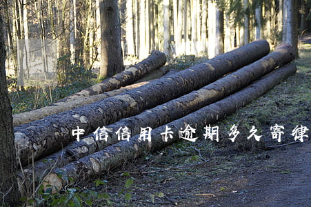 中信信用卡逾期多久寄律師信
