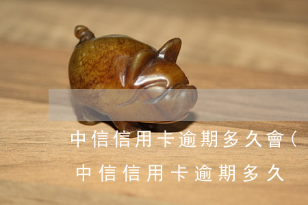 中信信用卡逾期多久會(huì)上傳征信（中信信用卡逾期多久）