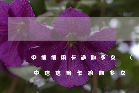 中信信用卡逾期多久會(huì)寄到老家(中信信用卡逾期多久會(huì)寄到老家去)