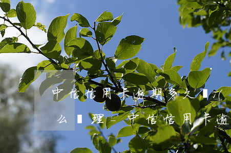 中信信用卡逾期多久會(huì)被起訴怎么處理-中信信用卡 逾期