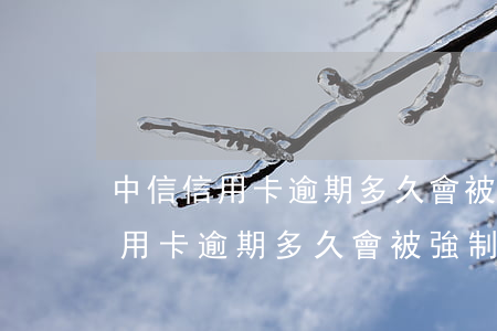 中信信用卡逾期多久會被強制銷卡-中信信用卡逾期多久會被強制銷卡呢
