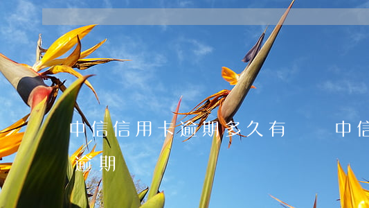 中信信用卡逾期多久有傳單(中信銀行 信用卡 逾期)