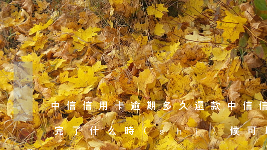 中信信用卡逾期多久還款(中信信用卡逾期還完了什么時(shí)候可以恢復(fù))