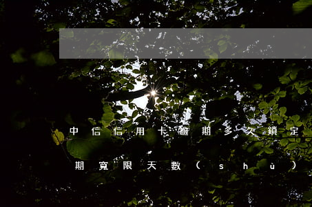中信信用卡逾期多久鎖定(中信銀行信用卡逾期寬限天數(shù))