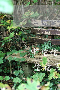 中信信用卡逾期多少會(huì)上征信(中信信用卡逾期多少會(huì)上征信黑名單)