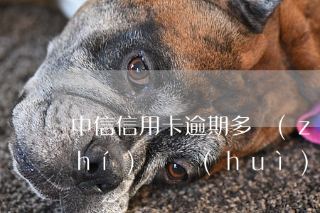 中信信用卡逾期多長(zhǎng)時(shí)間會(huì)影響征信-中信信用卡逾期多長(zhǎng)時(shí)間會(huì)影響征信記錄