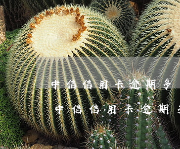 中信信用卡逾期多長時間會給家人打電話-中信信用卡逾期多長時間會給家人打電話催收