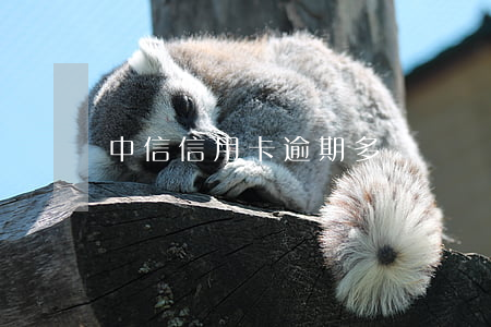 中信信用卡逾期多長時間起訴