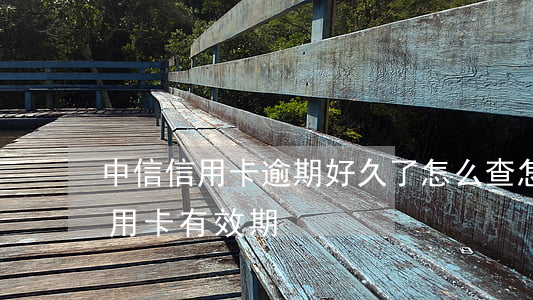 中信信用卡逾期好久了怎么查(怎么查中信信用卡有效期)