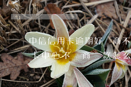 中信信用卡逾期好協商不-是不是中信信用卡中心不協商還款怎么辦