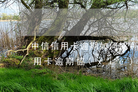 中信信用卡逾期如何協(xié)商(中信信用卡逾期協(xié)商打什么電話)