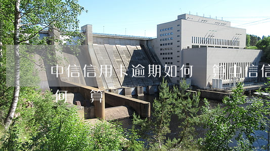 中信信用卡逾期如何計算（中信信用卡逾期如何計算）