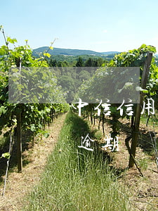 中信信用卡逾期委托第三方(中信銀行 信用卡 逾期)