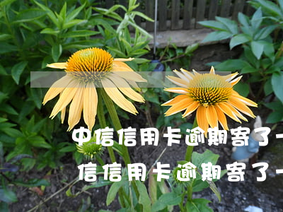 中信信用卡逾期寄了一個(gè)EMS(中信信用卡逾期寄了一個(gè)ems)