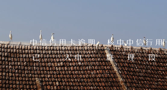 中信信用卡逾期審核中(中信行用卡逾期收到已經進入申請開庭審理階段)