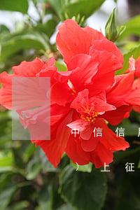 中信信用卡逾期幾個(gè)小時(shí)上征信嗎-中信信用卡逾期幾個(gè)小時(shí)上征信嗎有影響嗎