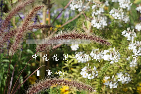 中信信用卡逾期幾天-中信信用卡逾期幾天沒事吧