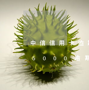 中信信用卡逾期幾天借二千(中信銀行信用卡5000逾期兩年)