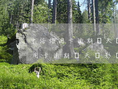 中信信用卡逾期幾天會影響征信嗎-中信信用卡逾期幾天會影響征信嗎知乎