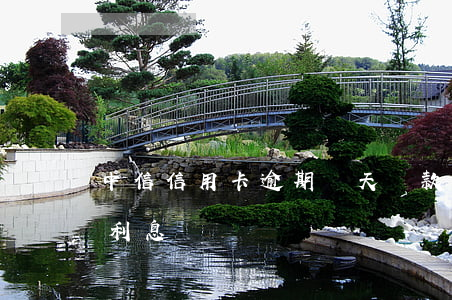 中信信用卡逾期幾天還款嗎(中信信用卡 逾期利息)